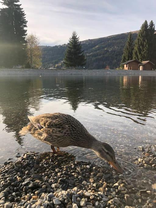 Chalet Milou Les Gets Dış mekan fotoğraf