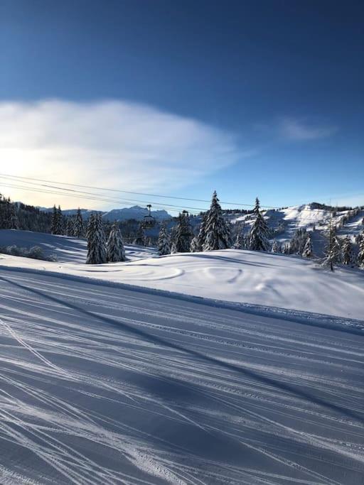 Chalet Milou Les Gets Dış mekan fotoğraf